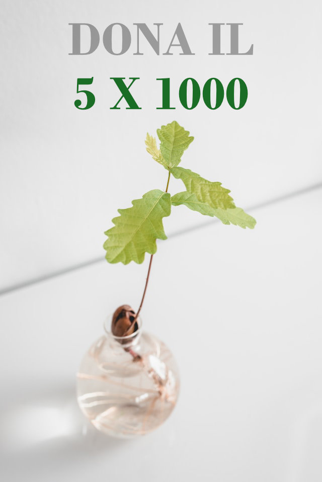 dona il 5x1000 all'associazione quadrifoglio di pravisdomini